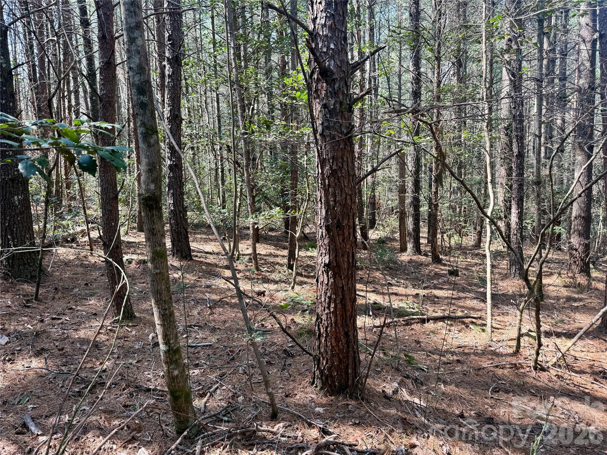 The Enclave at Lake James - Land