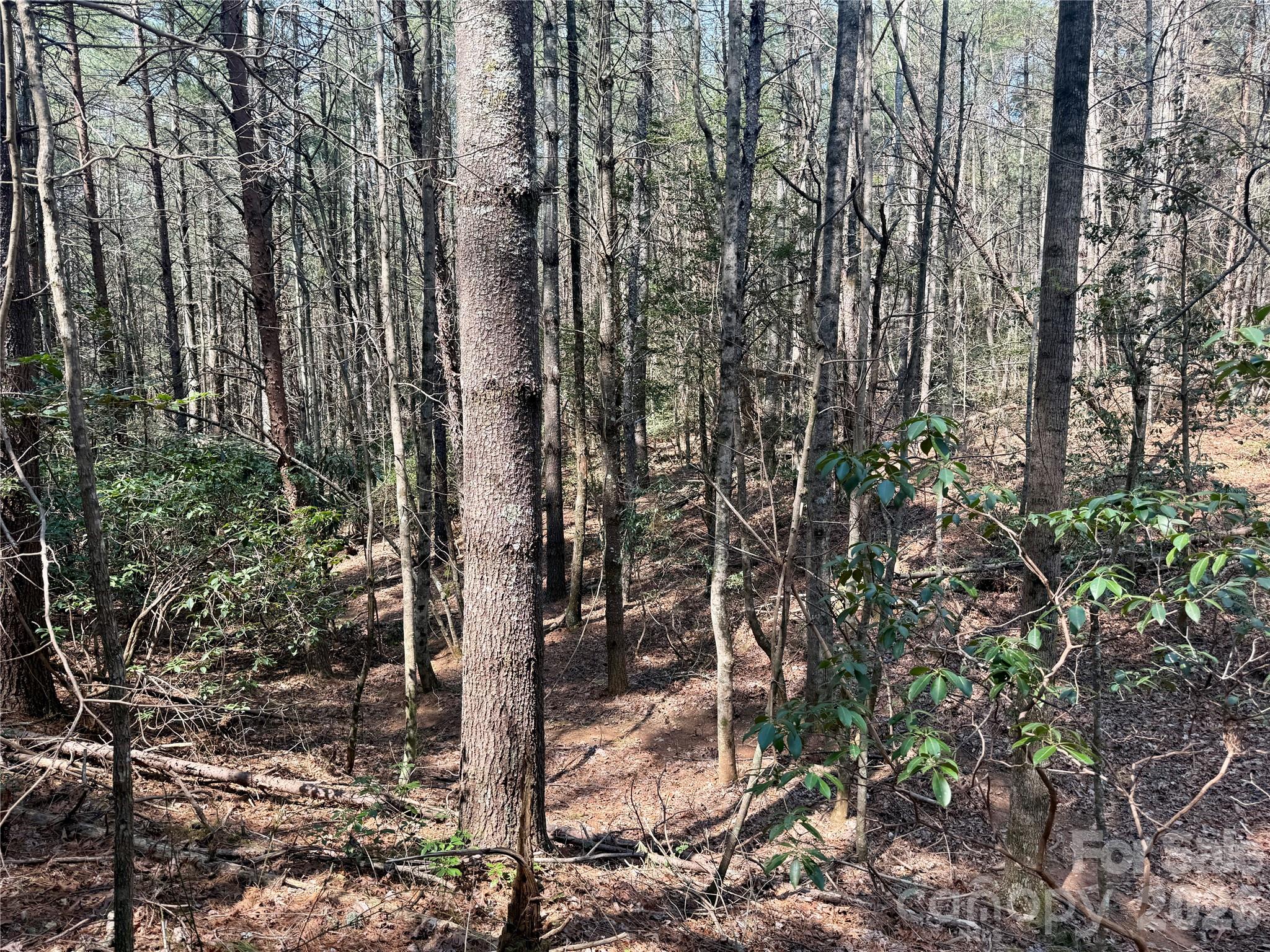 The Enclave at Lake James - Land