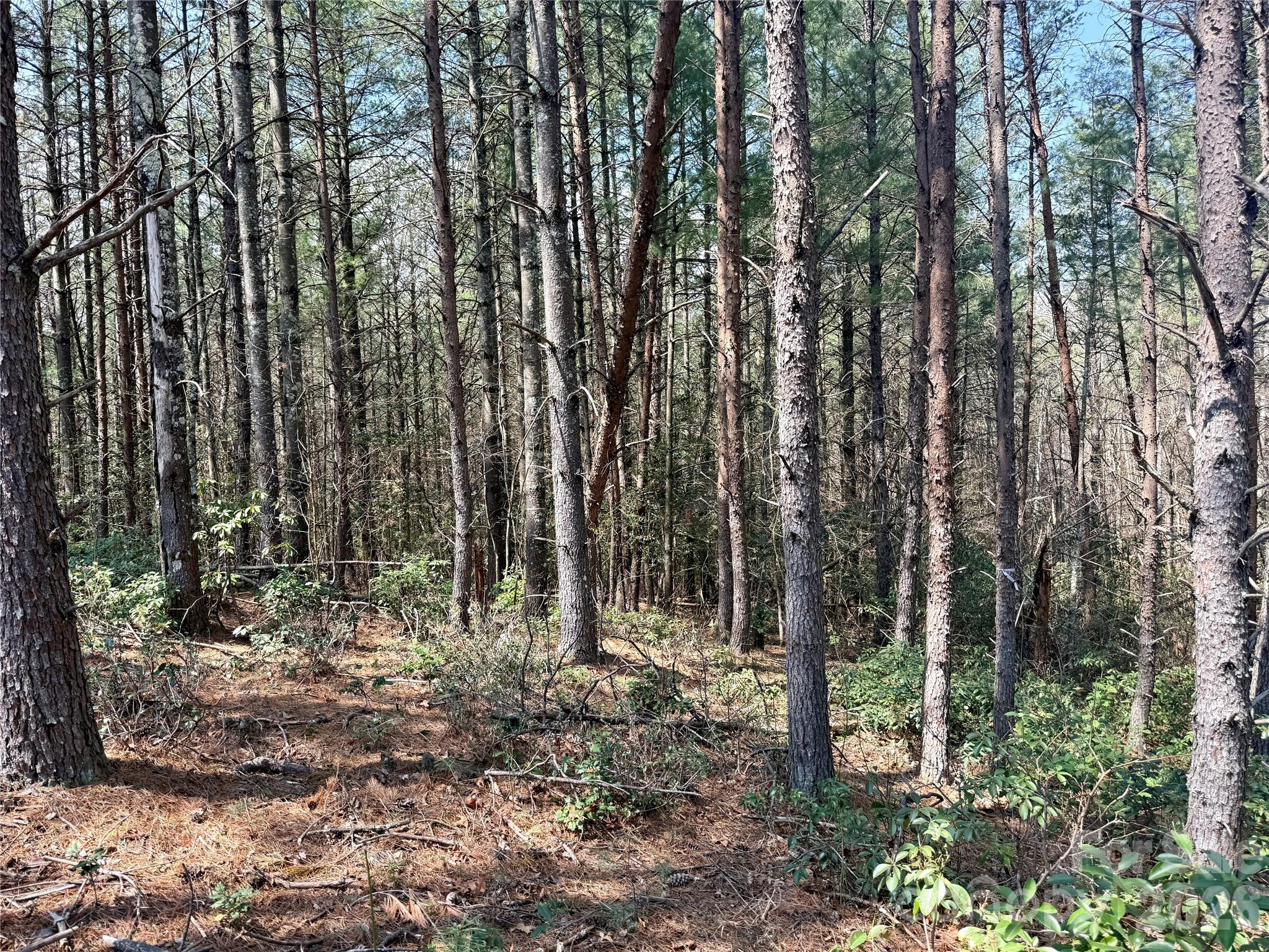 The Enclave at Lake James - Land