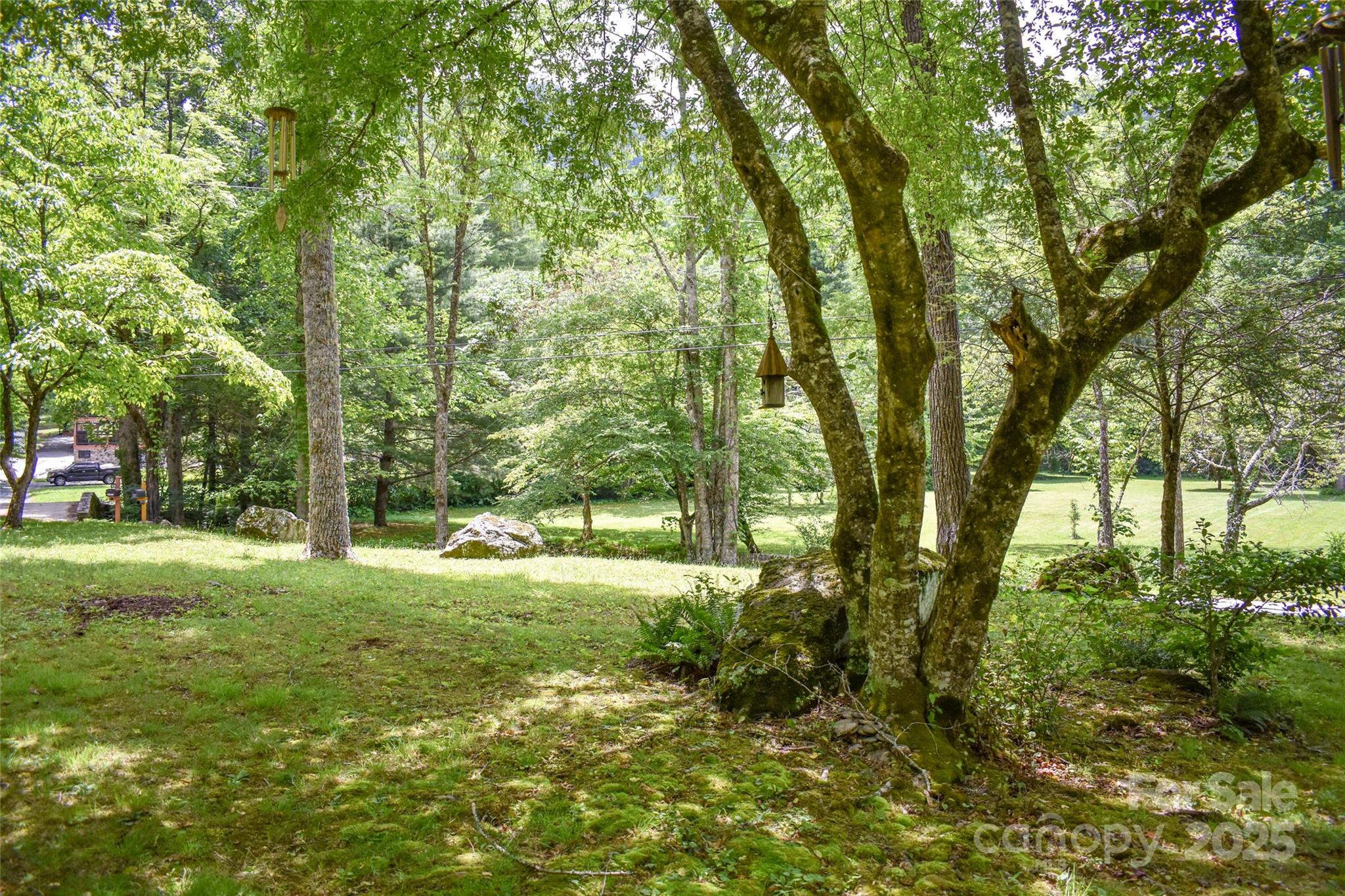 3435 Conleys Creek Road