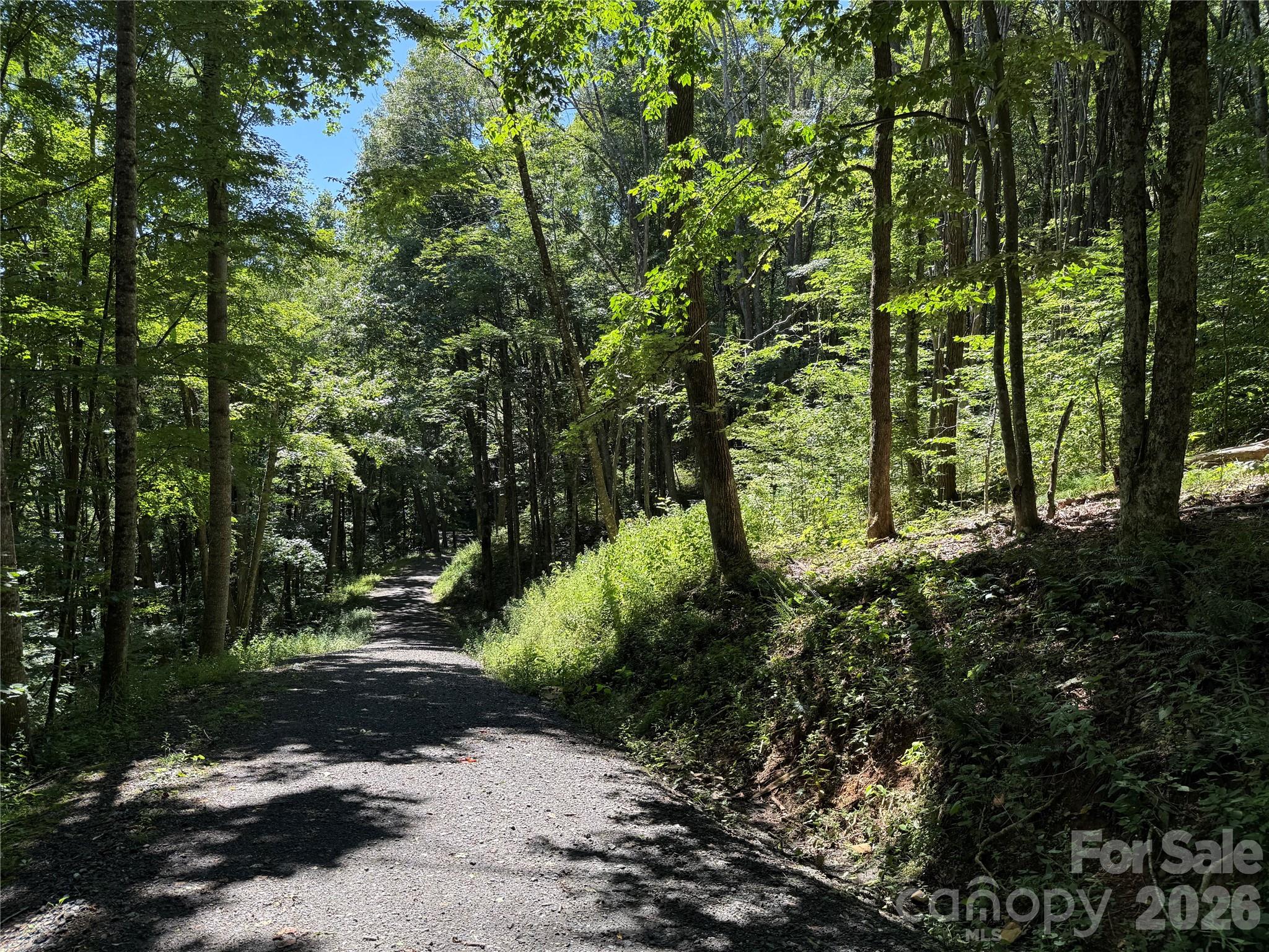 7 Wolfsbane Trail 7