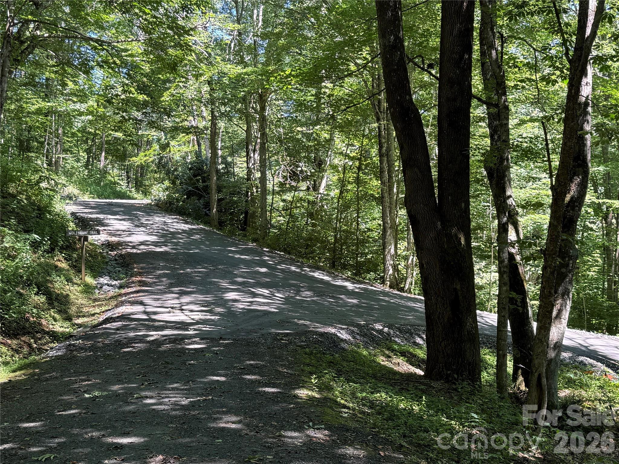7 Wolfsbane Trail 7