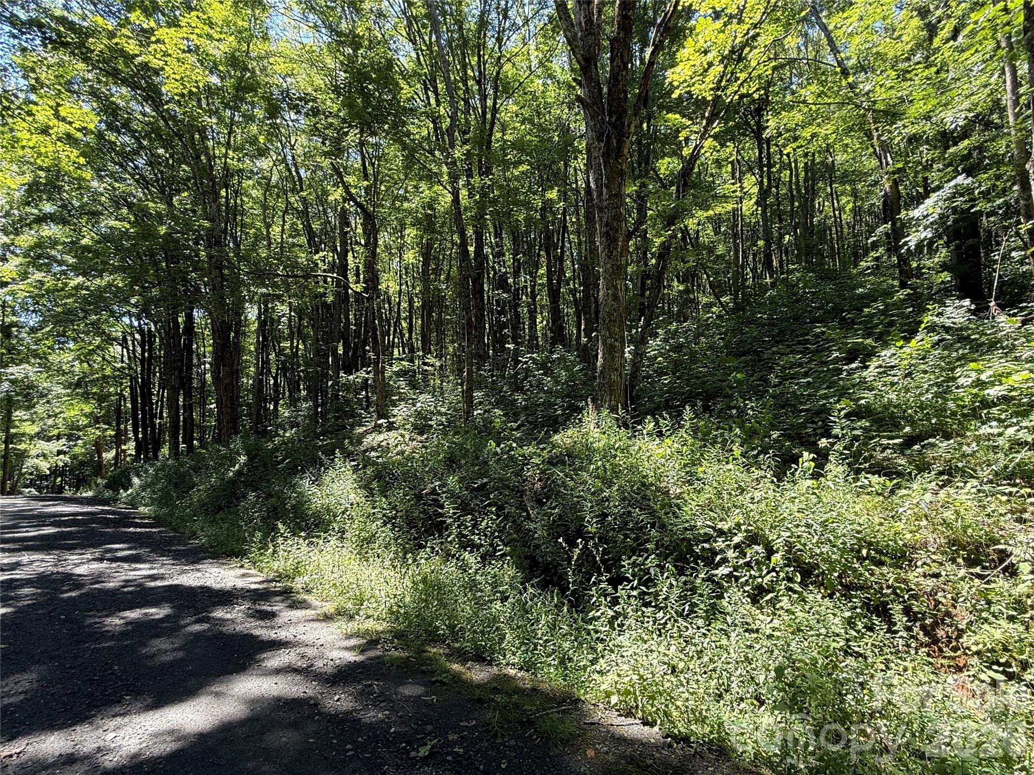 7 Wolfsbane Trail 7