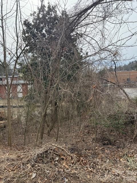 33 Johnson Drive 1 Asheville NC 28804