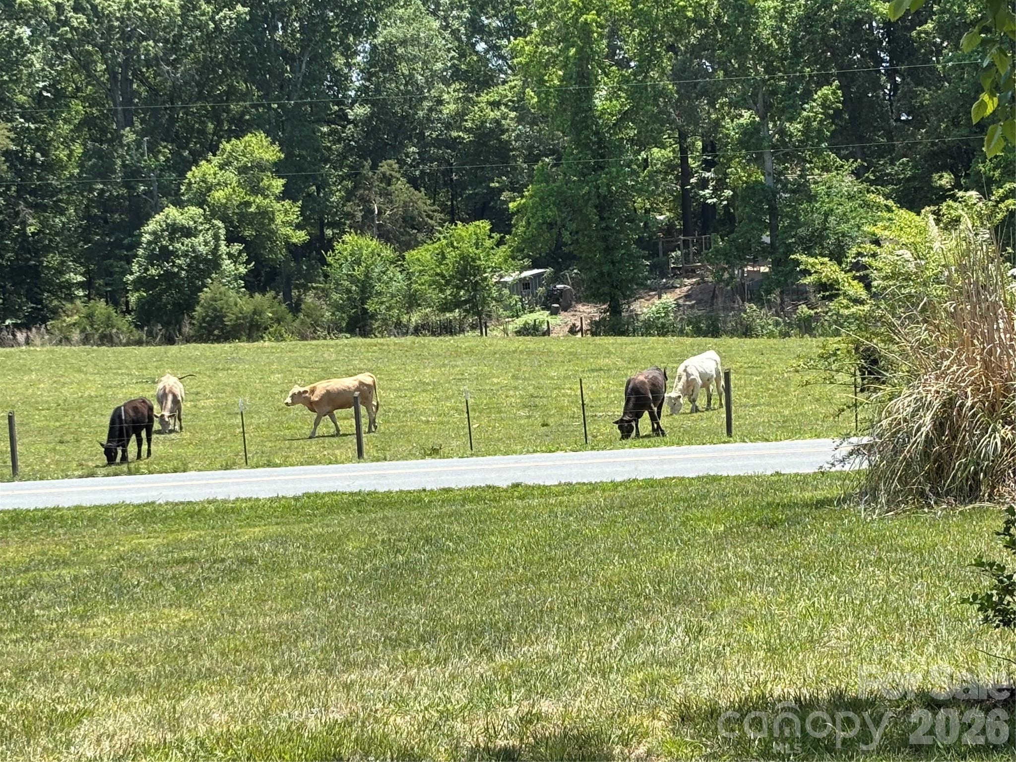 12435 Philadelphia Church Road