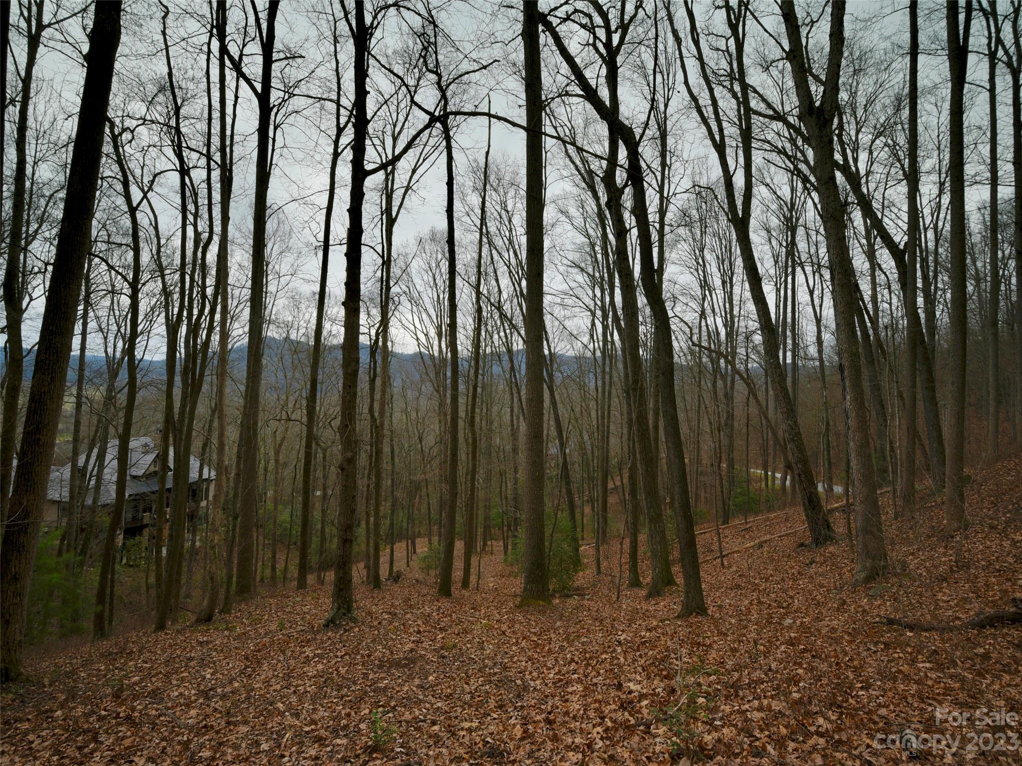 The Cliffs at Walnut Cove - Land