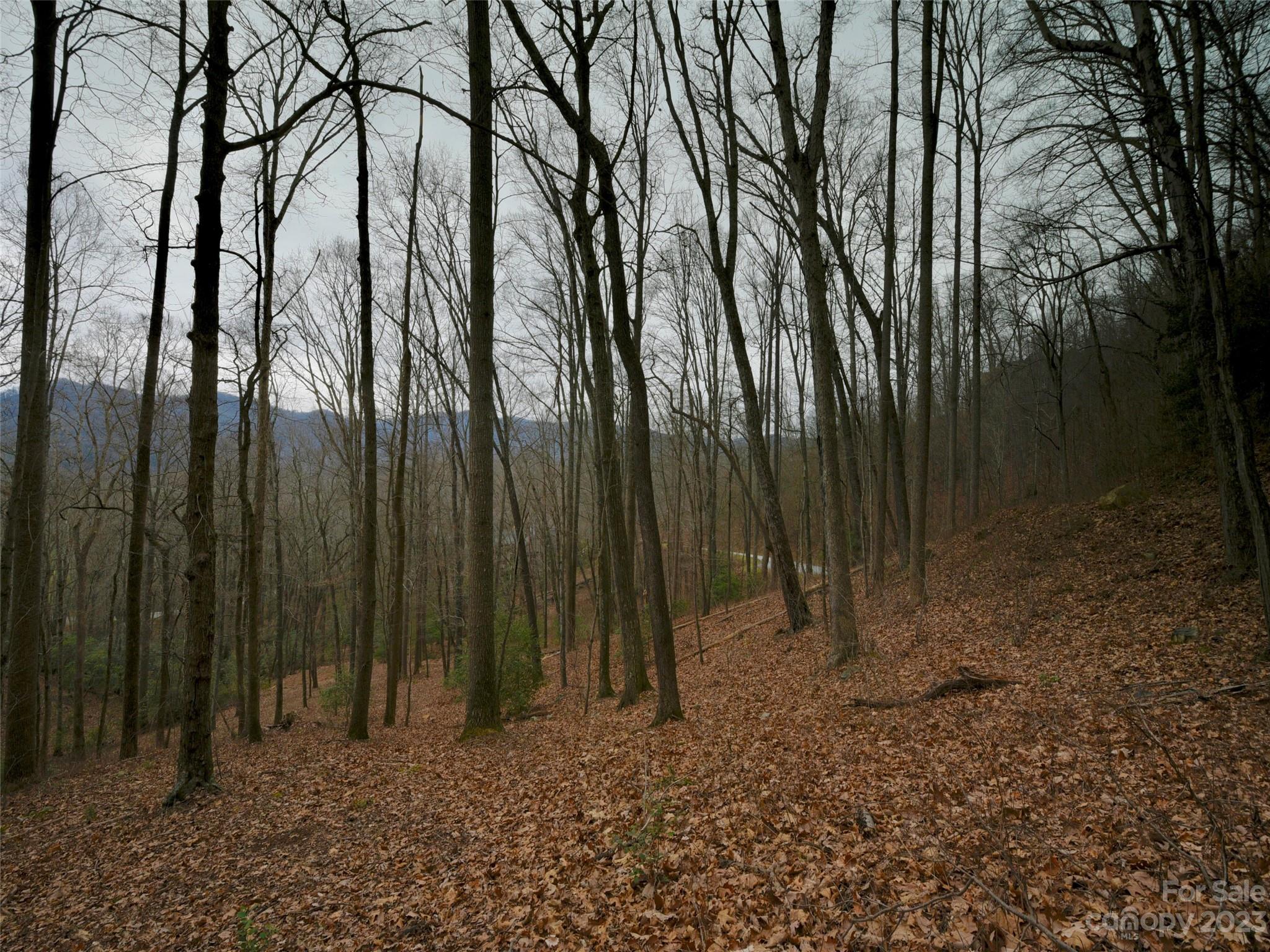 The Cliffs at Walnut Cove - Land