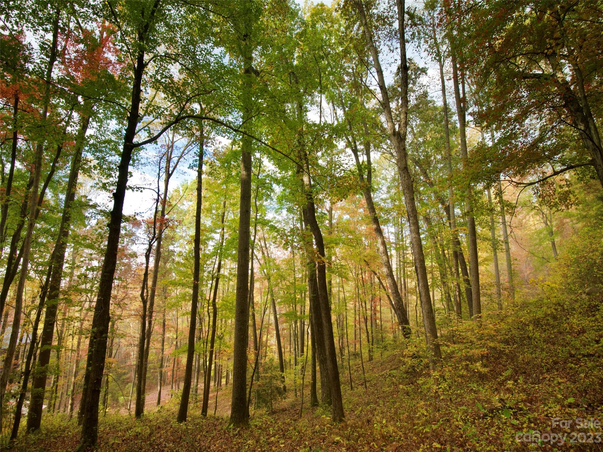 The Cliffs at Walnut Cove - Land