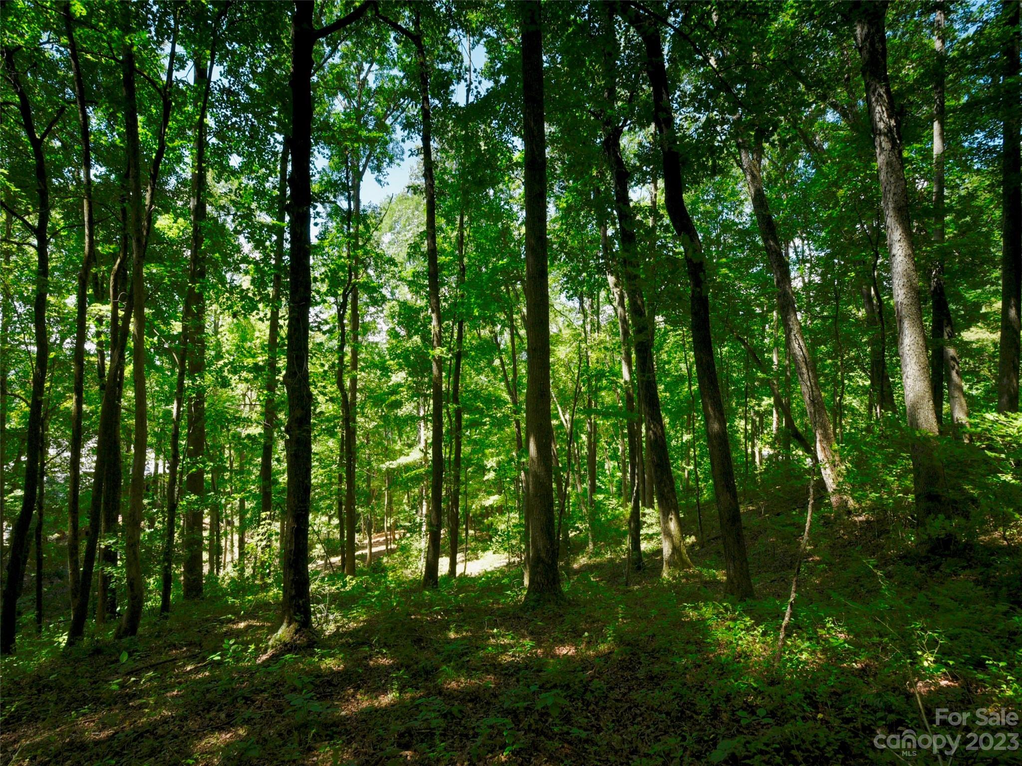 The Cliffs at Walnut Cove - Land
