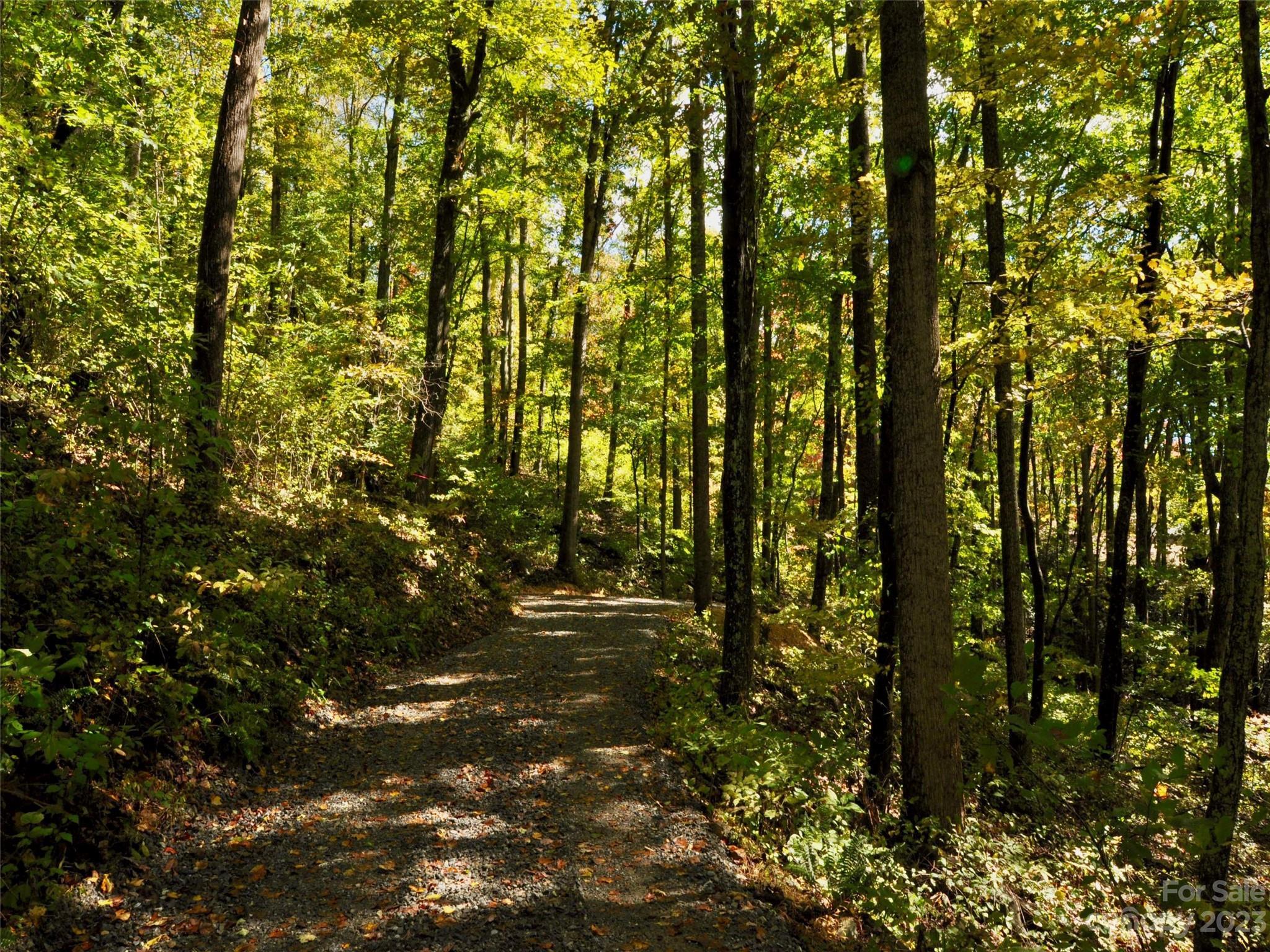 The Cliffs at Walnut Cove - Land