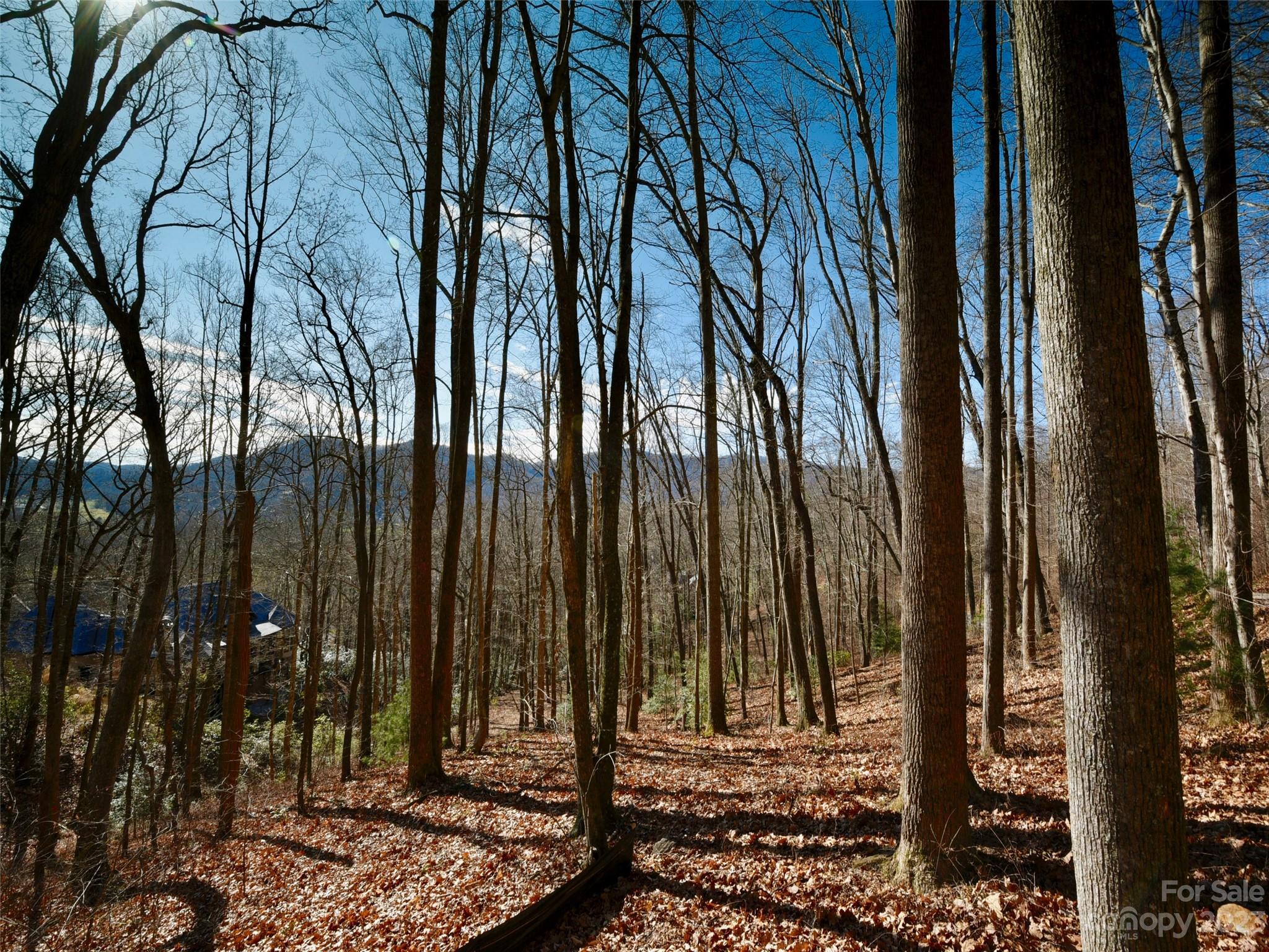 The Cliffs at Walnut Cove - Land