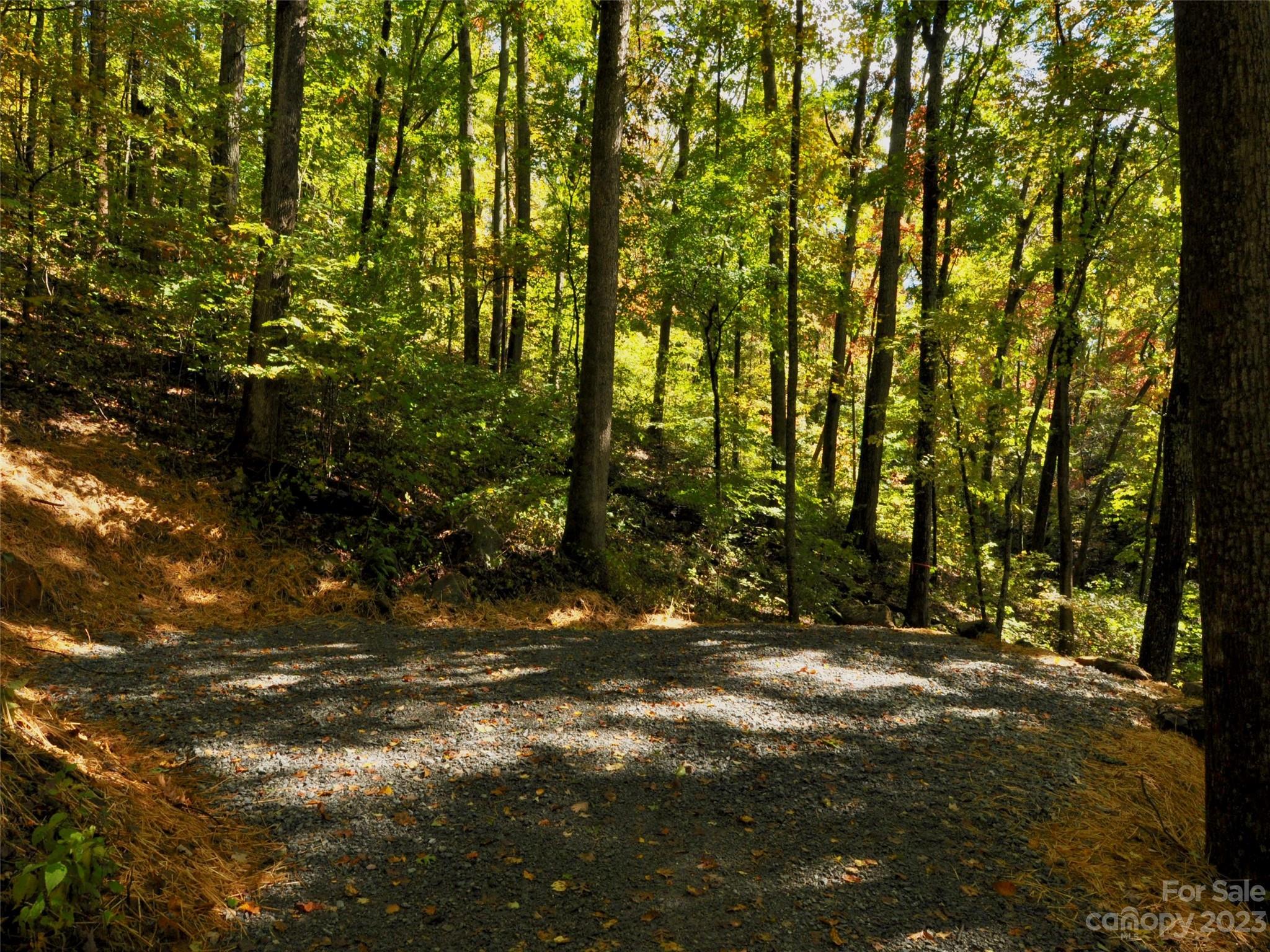 The Cliffs at Walnut Cove - Land