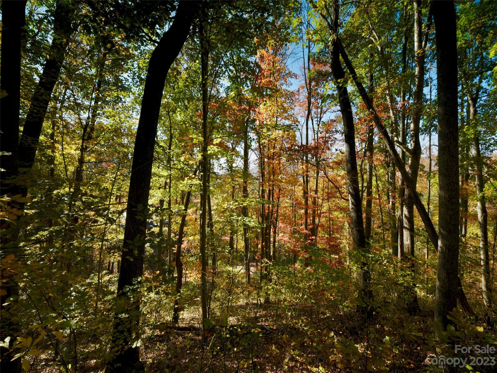 The Cliffs at Walnut Cove - Land