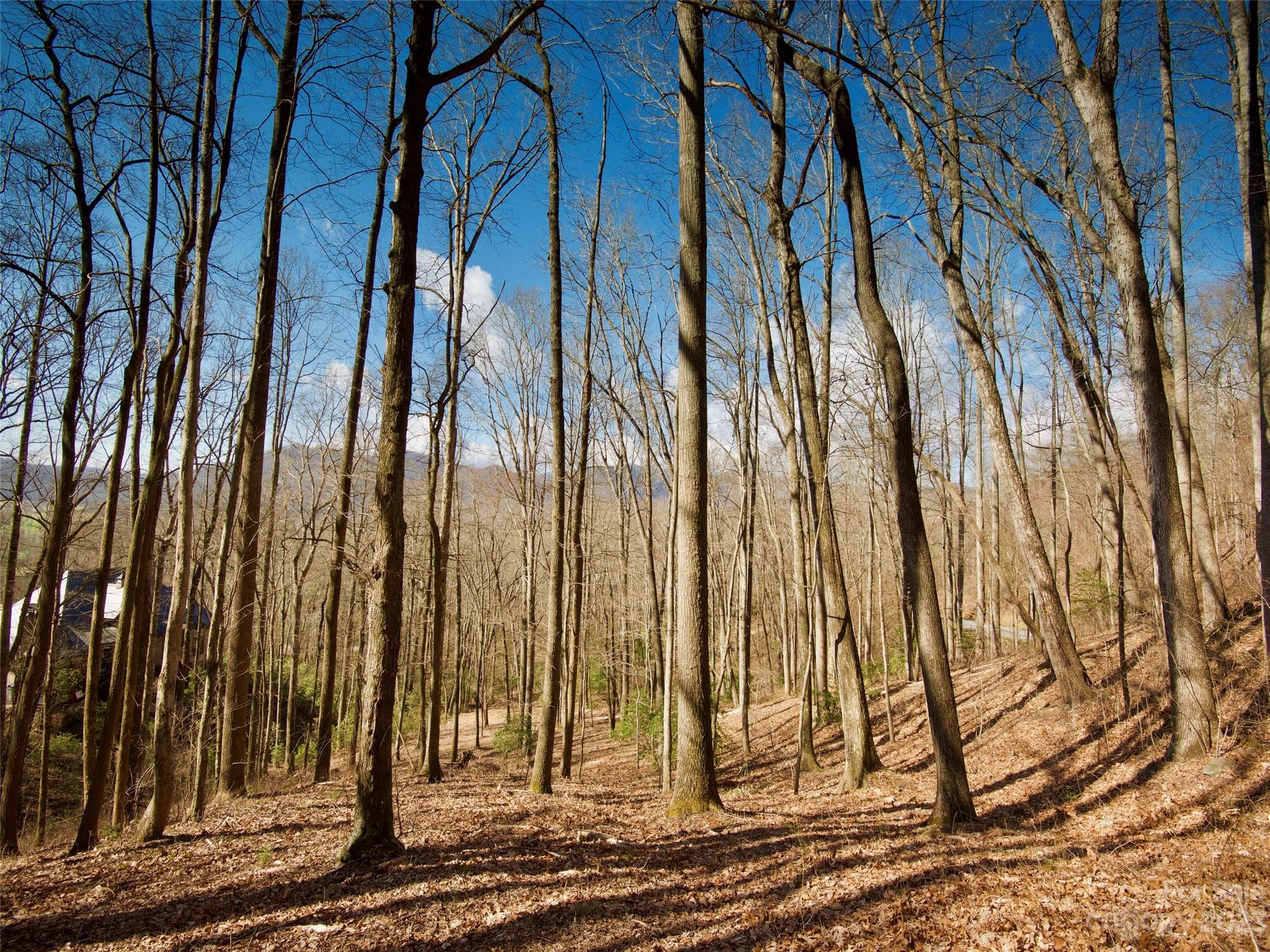 The Cliffs at Walnut Cove - Land