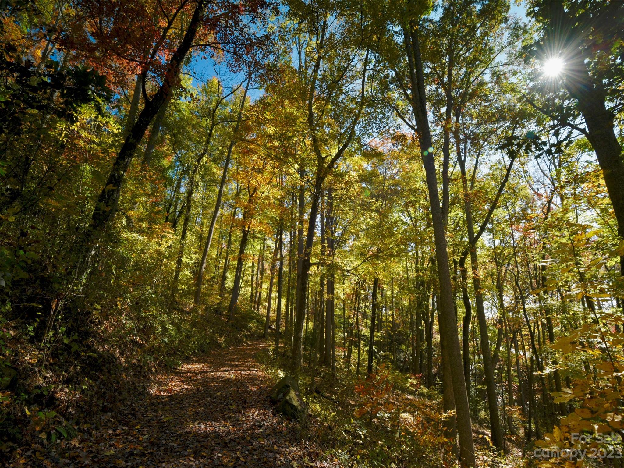 The Cliffs at Walnut Cove - Land