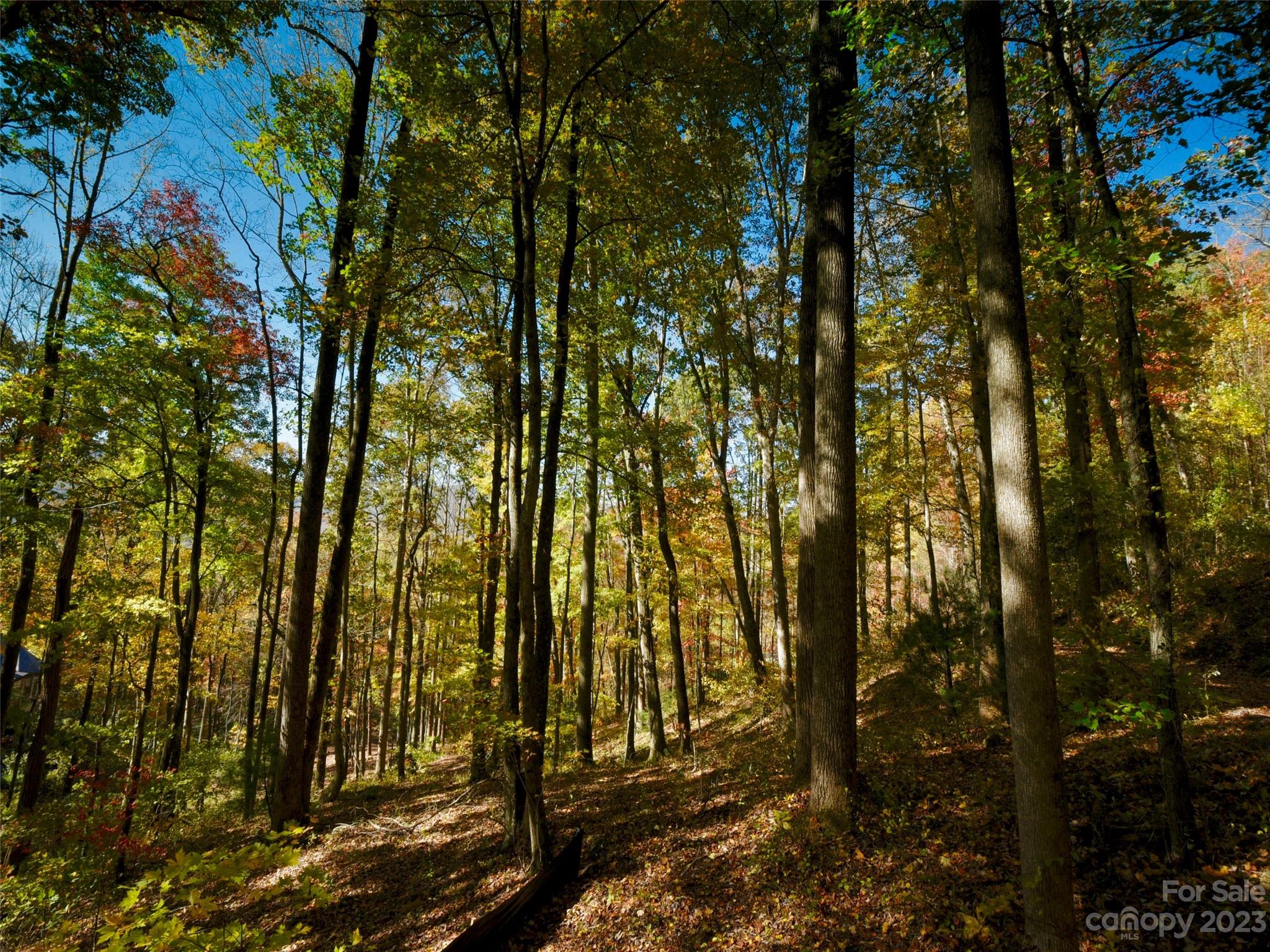 The Cliffs at Walnut Cove - Land