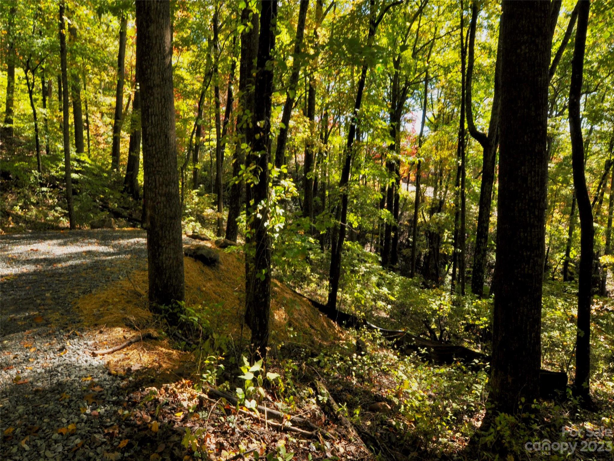 The Cliffs at Walnut Cove - Land