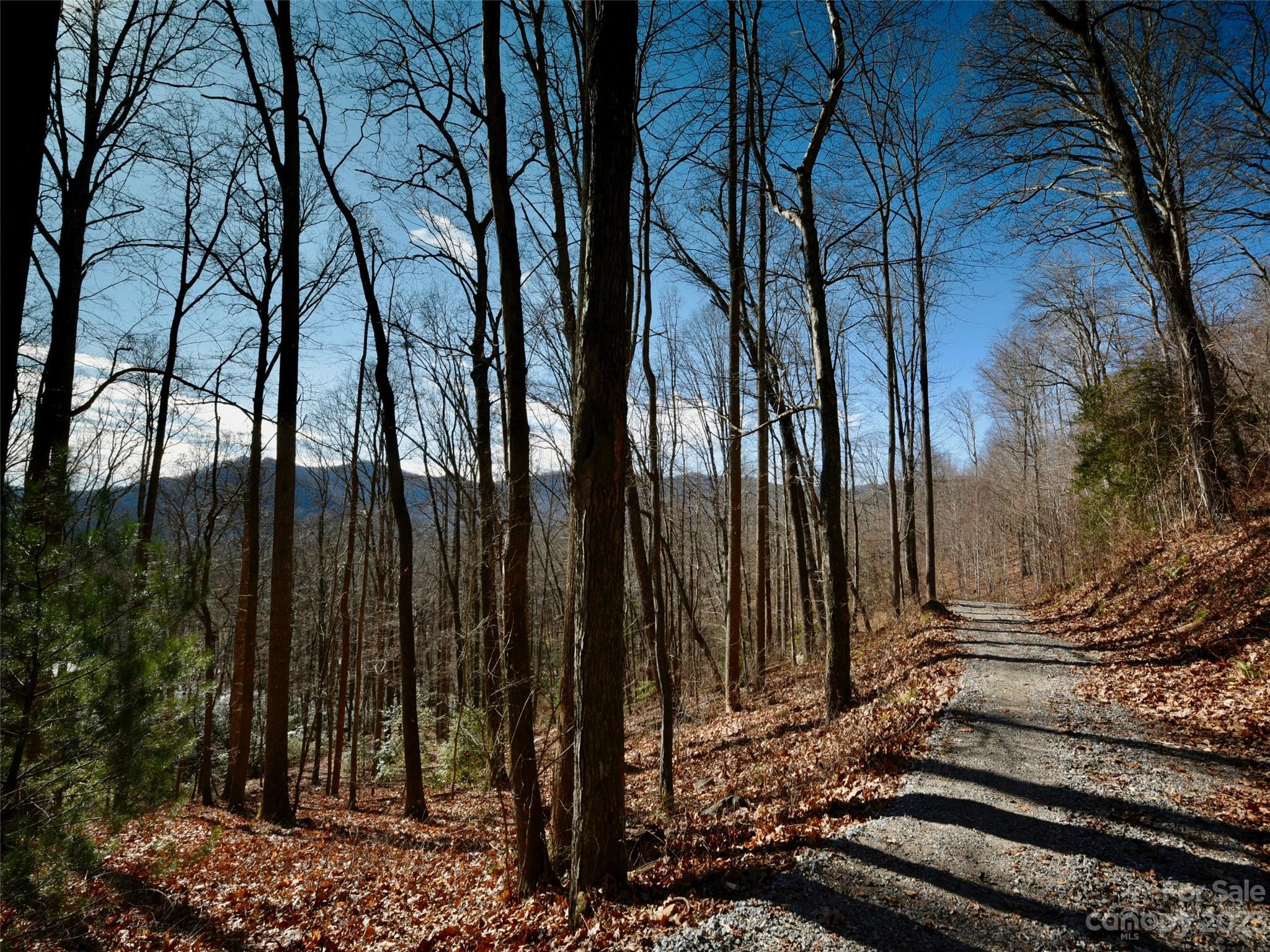 The Cliffs at Walnut Cove - Land