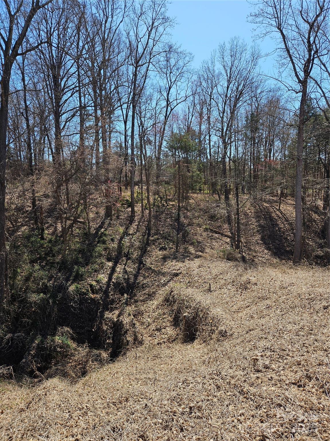 1110 Clark Hill Drive