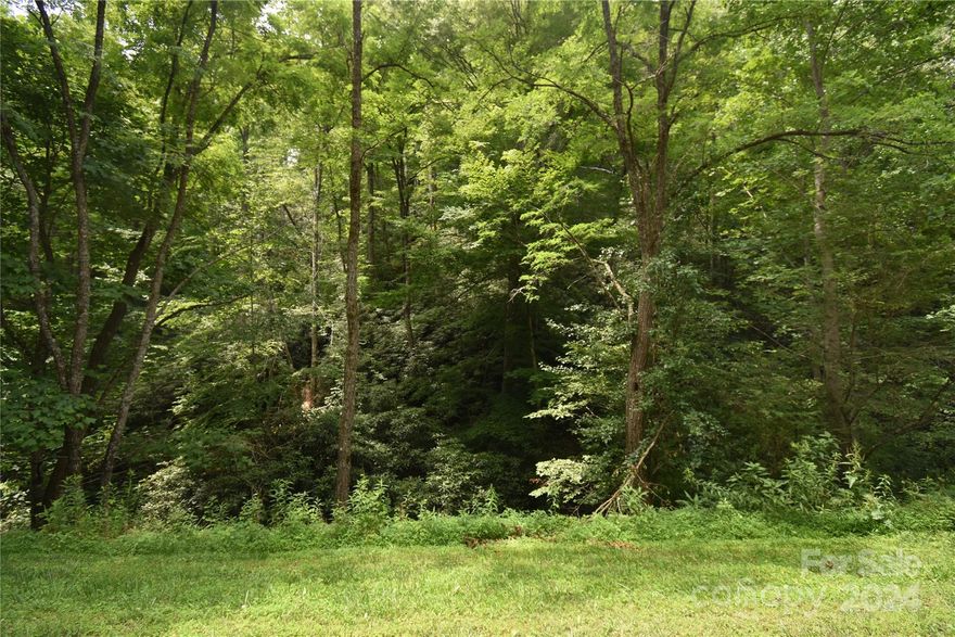 Incredible opportunity to own a piece of nature. Bordering National Forest with a beautiful creek and direct access from a quiet paved county road. Property would make a great outdoor recreation property for camping, fishing, hiking. Minutes to Fontana Lake, Bryson City, GSMNP, Nantahala Gorge and more. Here's your opportunity to never have to reserve a campsite in the mountains again. *No Sign.