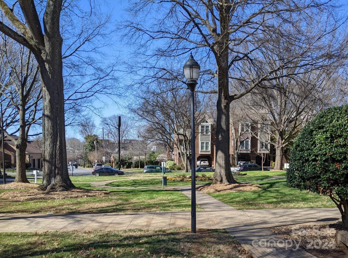 Cedar Street Commons - Residential