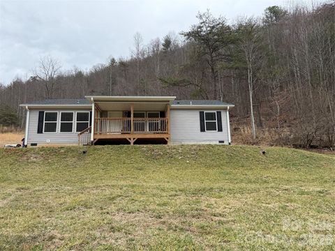 Photo of 4958 Grapevine Road, Marshall, NC 28753 (MLS # 4349391)