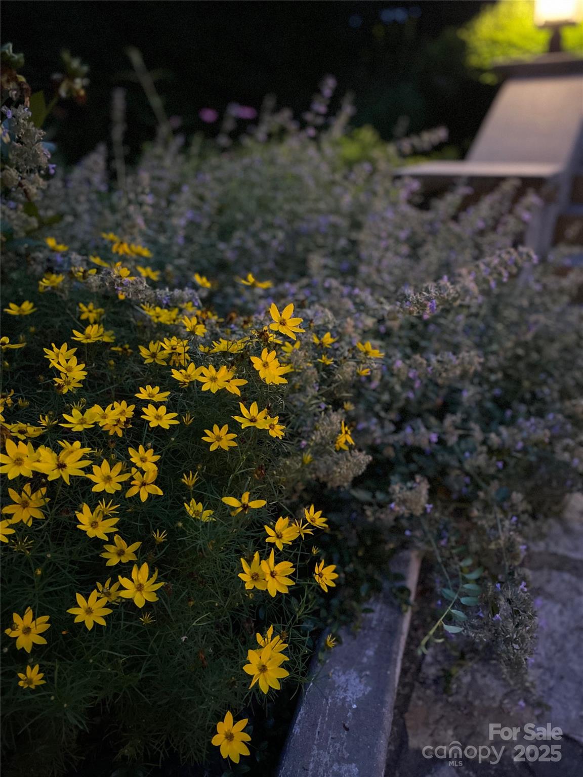 Biltmore Forest - Residential