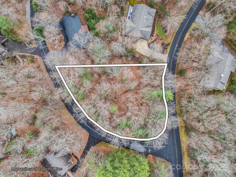 TBD OSSAROOGA Court Lot 29/Unit 6 Brevard NC 28712