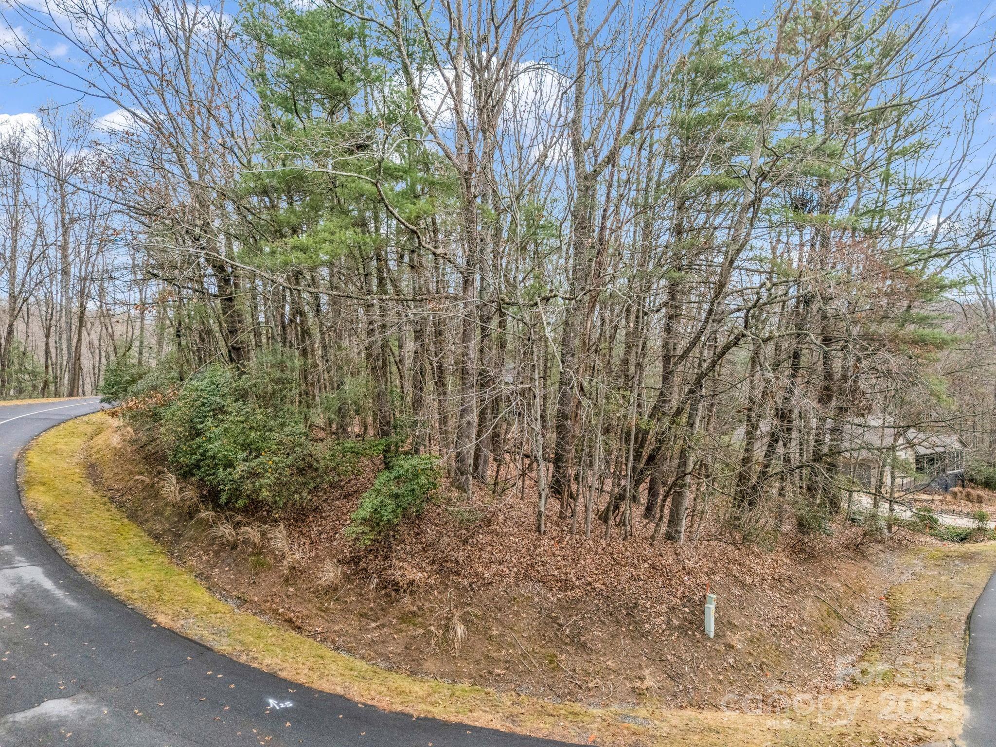 TBD OSSAROOGA Court Lot 29/Unit 6