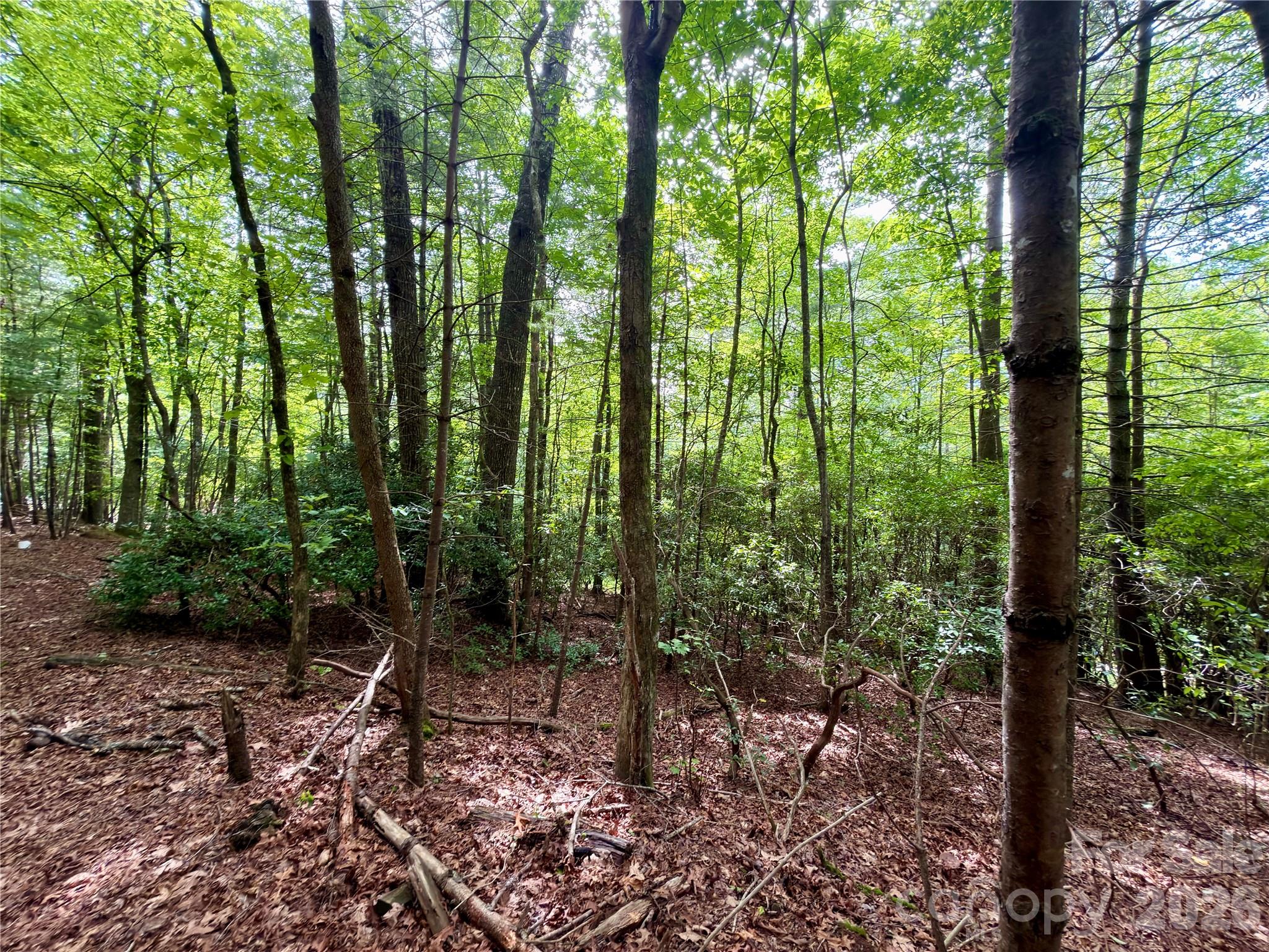 151 Katydid Lane