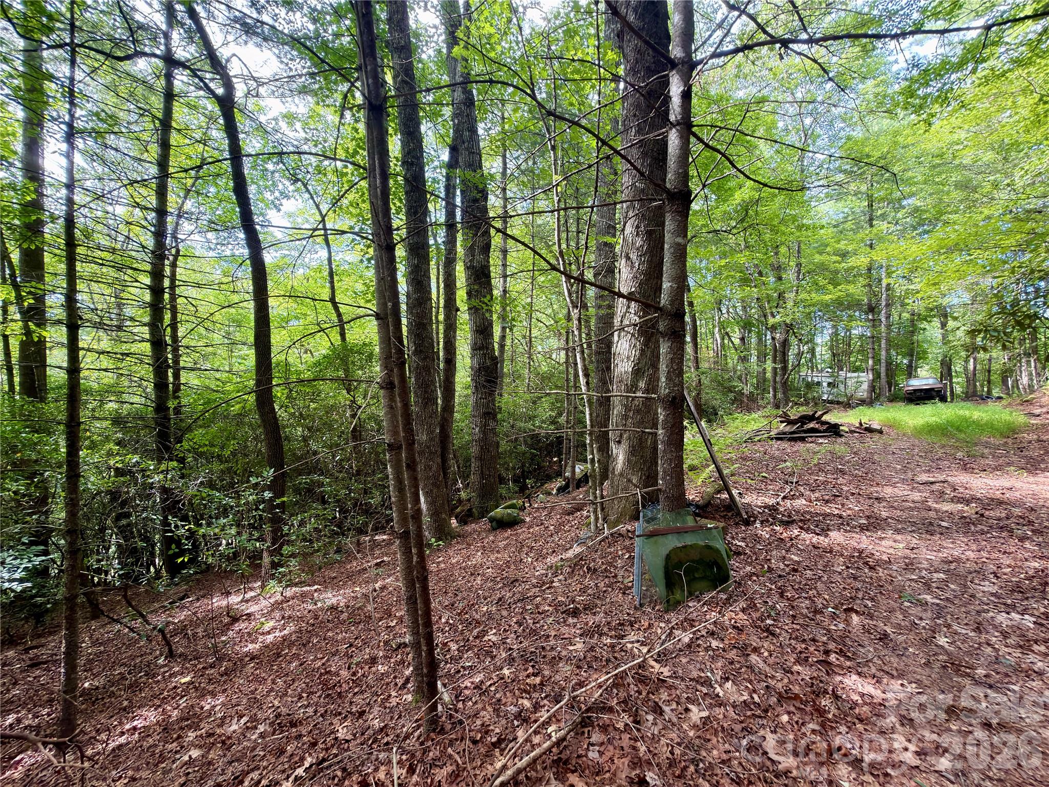 151 Katydid Lane