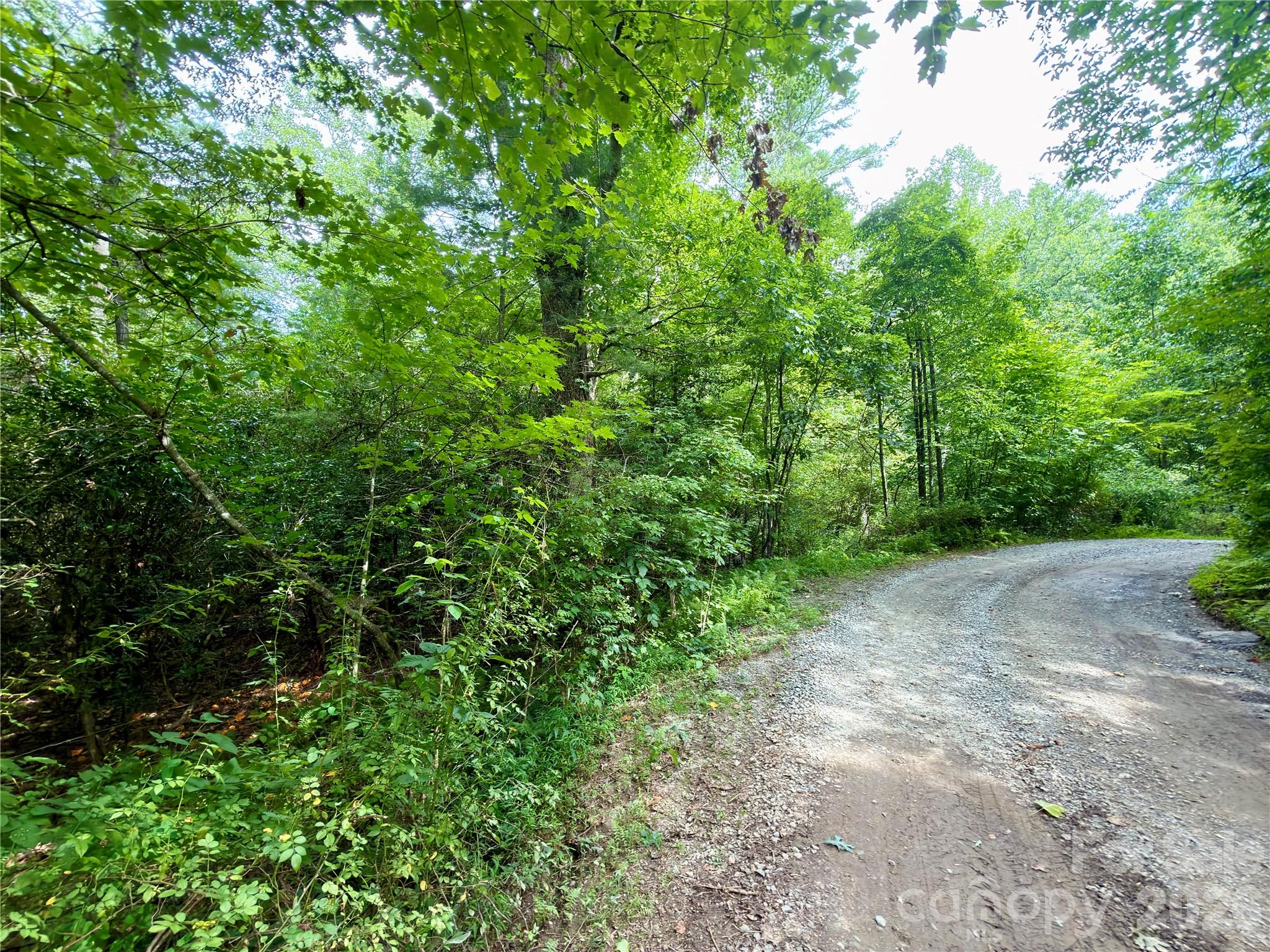 151 Katydid Lane
