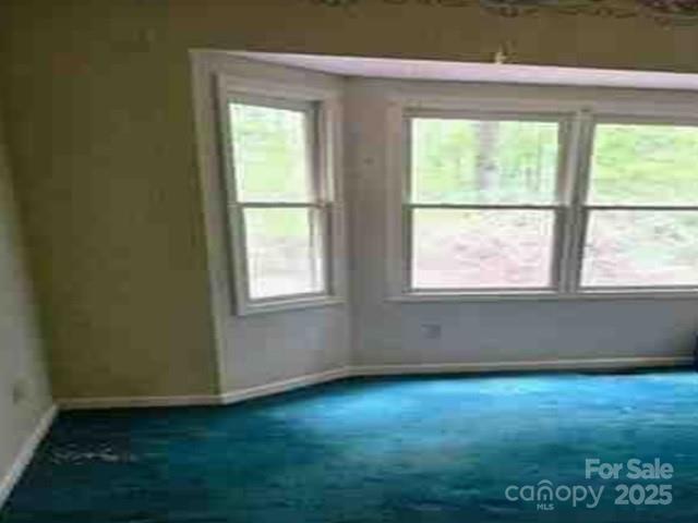 300 Serenity Trail