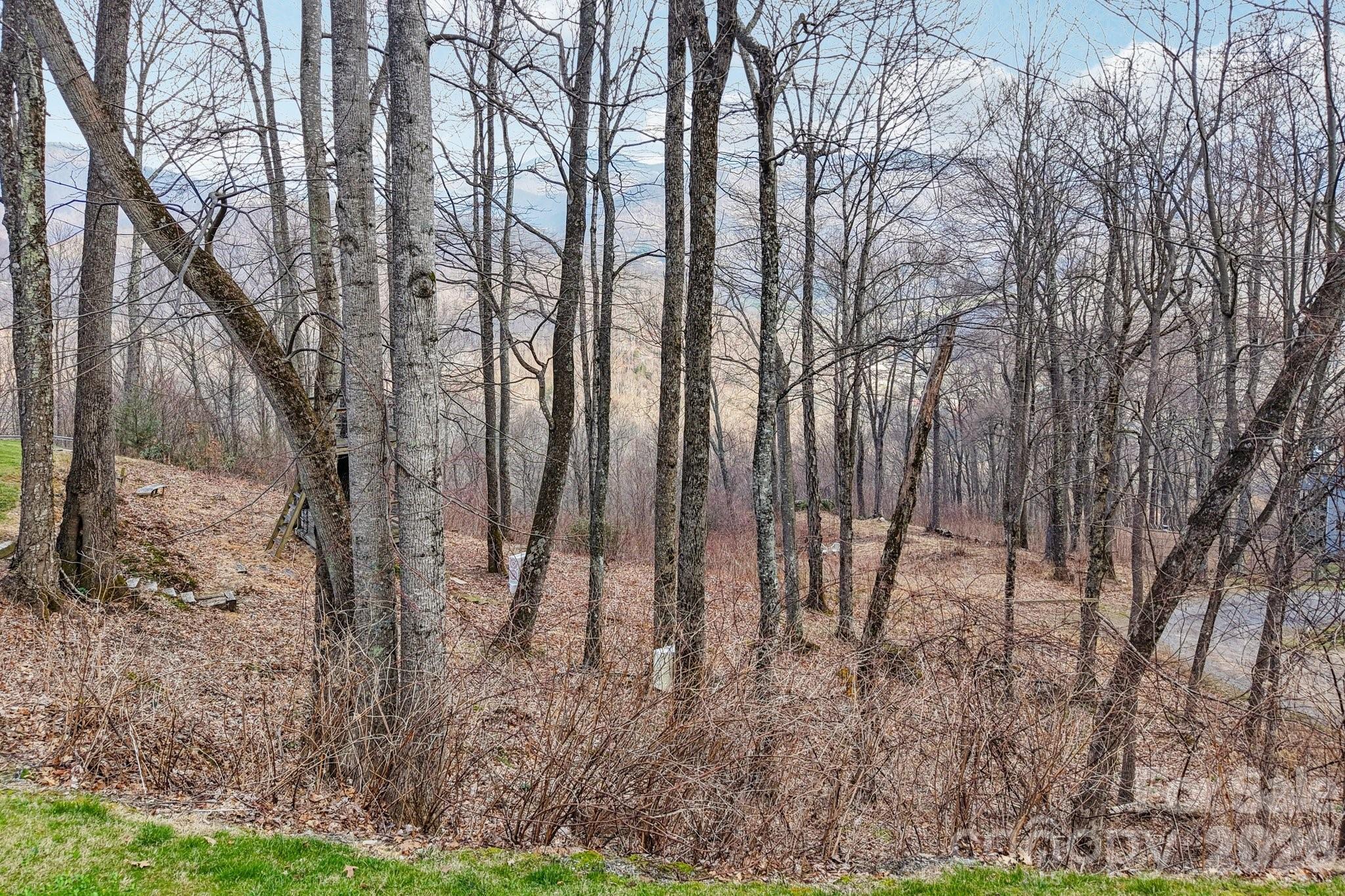 Maggie Valley Development - Land