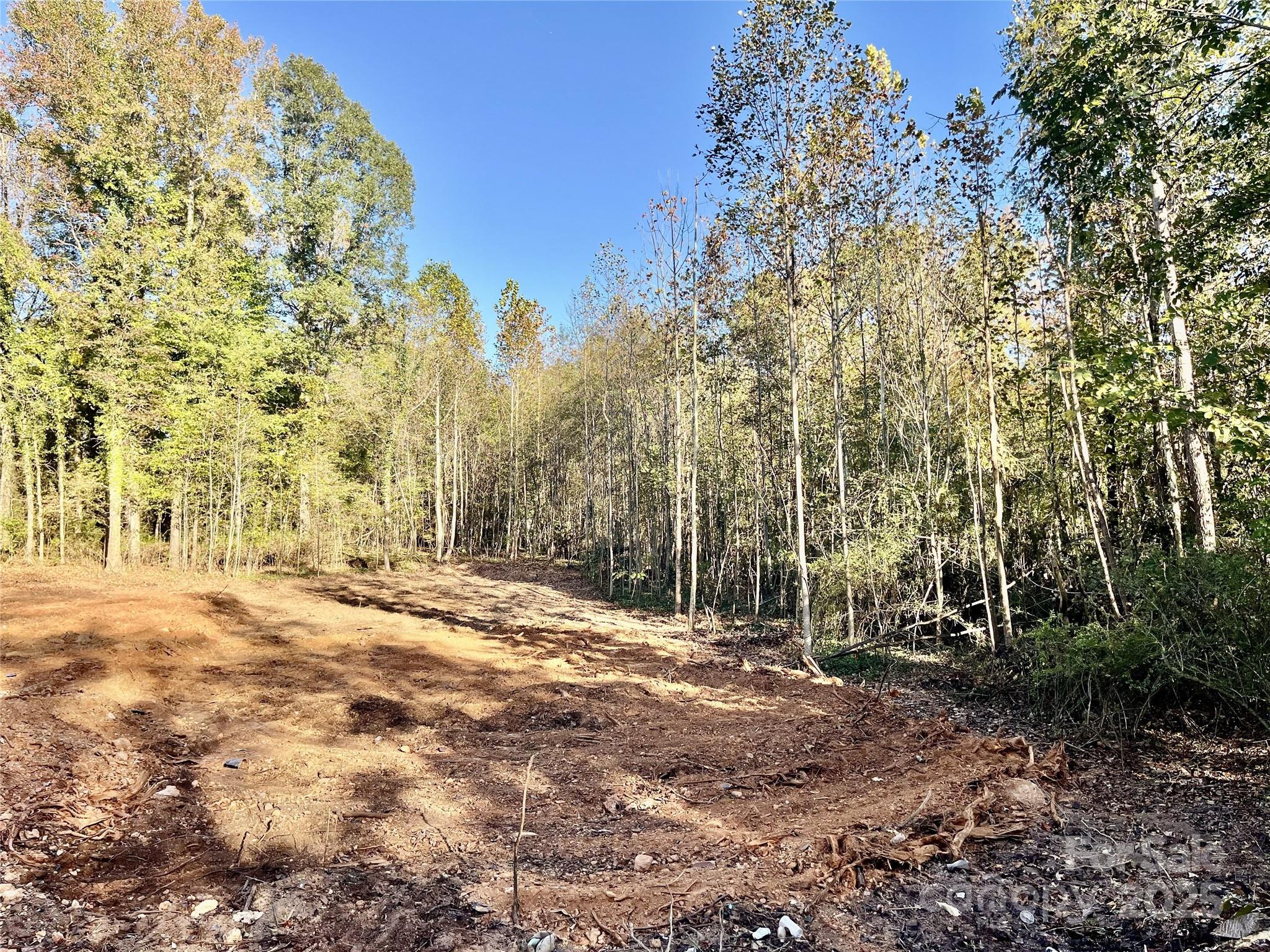 0 Tanglewood Drive 9