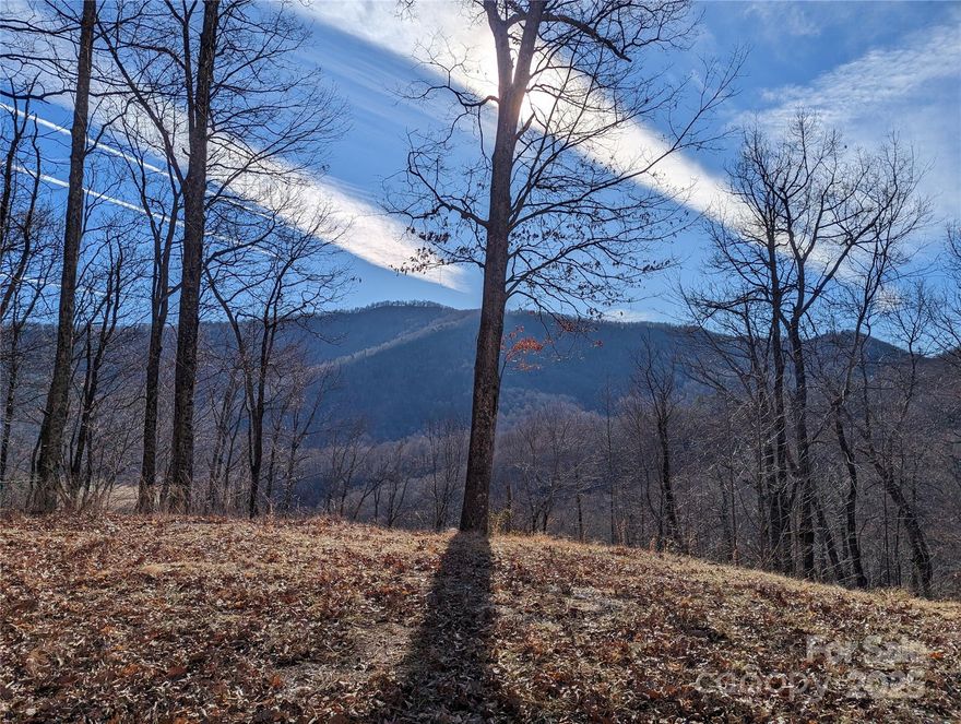 Incredible 4+ acre lot in upscale Creston gated community, just 6.5 miles to Black Mountain! This lot already has a driveway roughed in so you can easily see the best building sites as well the views to the south and the east. Creston is a gated community with well-maintained roads, miles of hiking trails, and an incredible club house at the top of neighborhood. Creston is surrounded by protected land in Pisgah National Forest and the Foothills Land Conservancy. Ask agent for a neighborhood map and Creston trail map; some trails lead to amazing waterfalls. Spectrum cable internet is available in the neighborhood. Well and septic needed. Creston "T" lots are subject to a 7-day minimum short-term rental period.