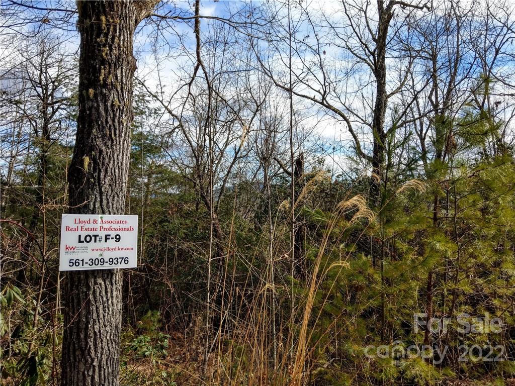 000 Emma Bri Lane F9