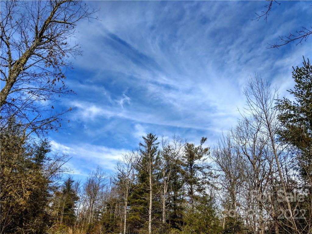 000 Emma Bri Lane F9