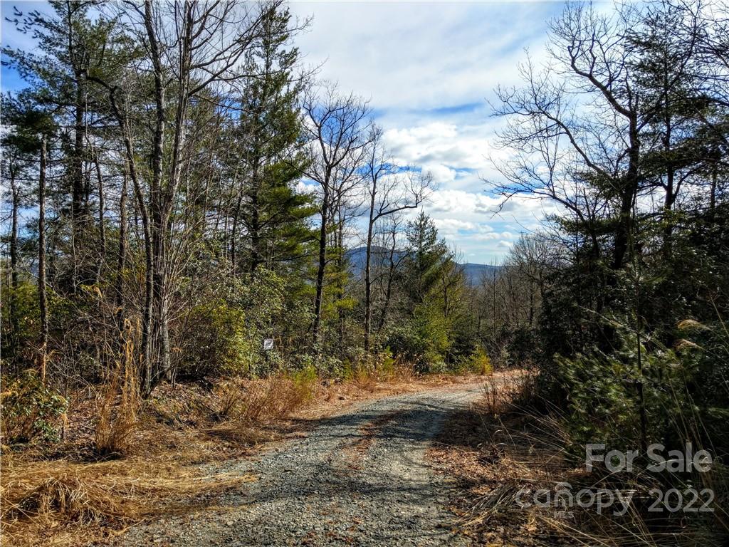 Dogwood Mountain Estates - Land