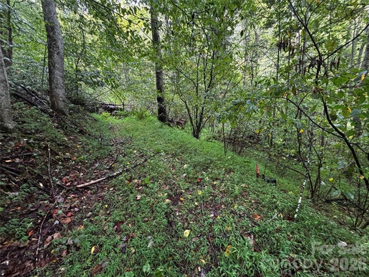 BIG PINE RD, MARSHALL, NC 28753 - Image a2fe8e4beb611b33c77b9edfe3a8083f/428126532