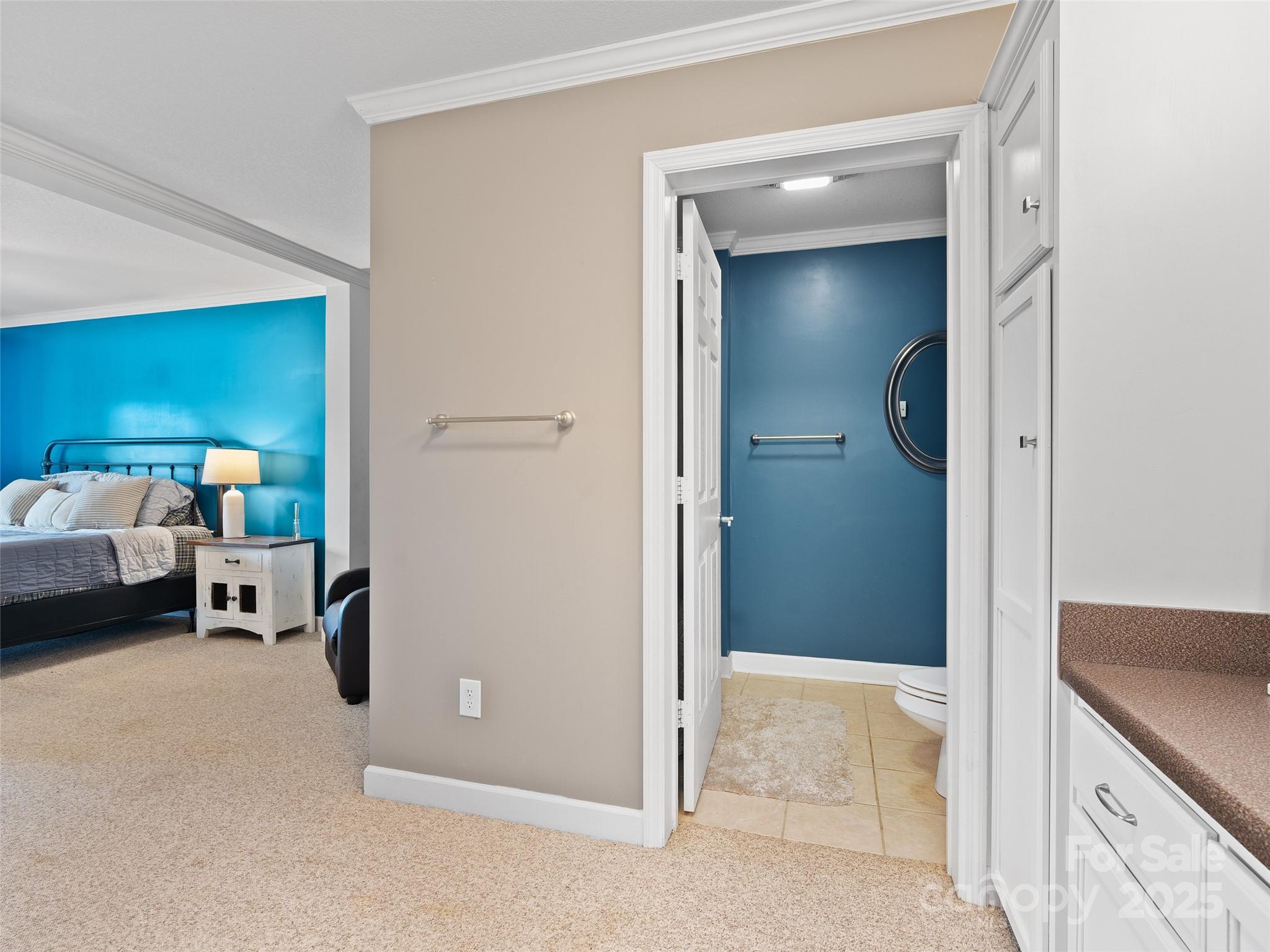 Ferguson Mountain - Residential