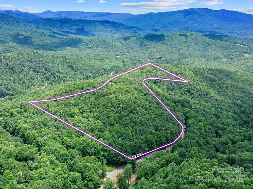 Discover the possibilities on this undeveloped 18.15-acre tract, ideally located near Little Switzerland and Marion. With no deed restrictions and the potential for amazing views, this versatile property could become almost anything you imagine — a private mountain retreat, campground, mobile home park, hunting getaway, or family compound. Embrace the freedom to build your dream with endless potential, stunning scenery, and plenty of space to spread out