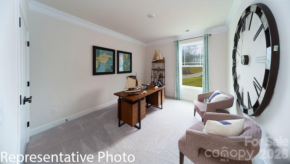 Falls Cove at Lake Norman - Residential