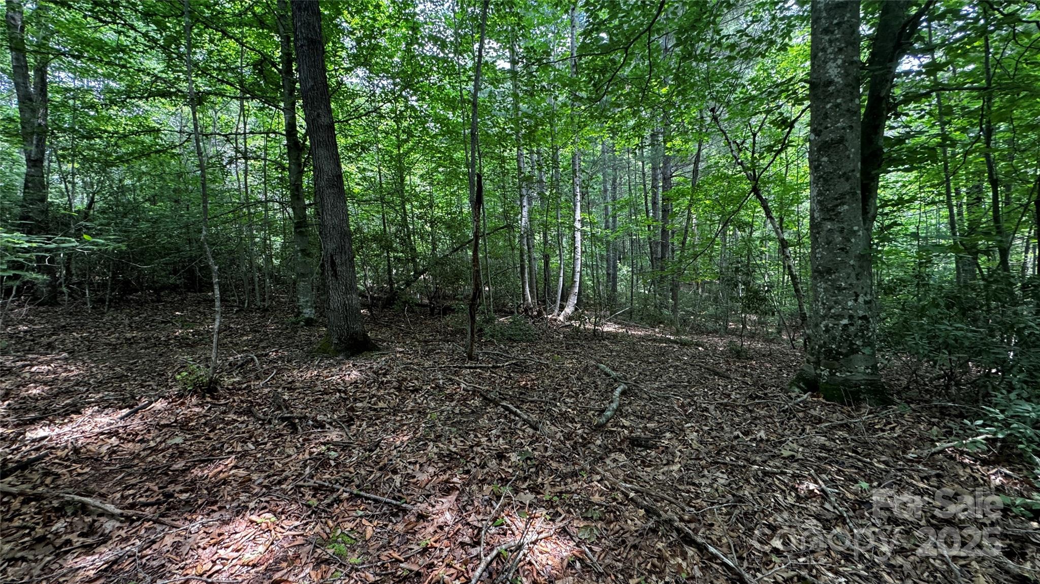 The Coves Mountain River Club - Land