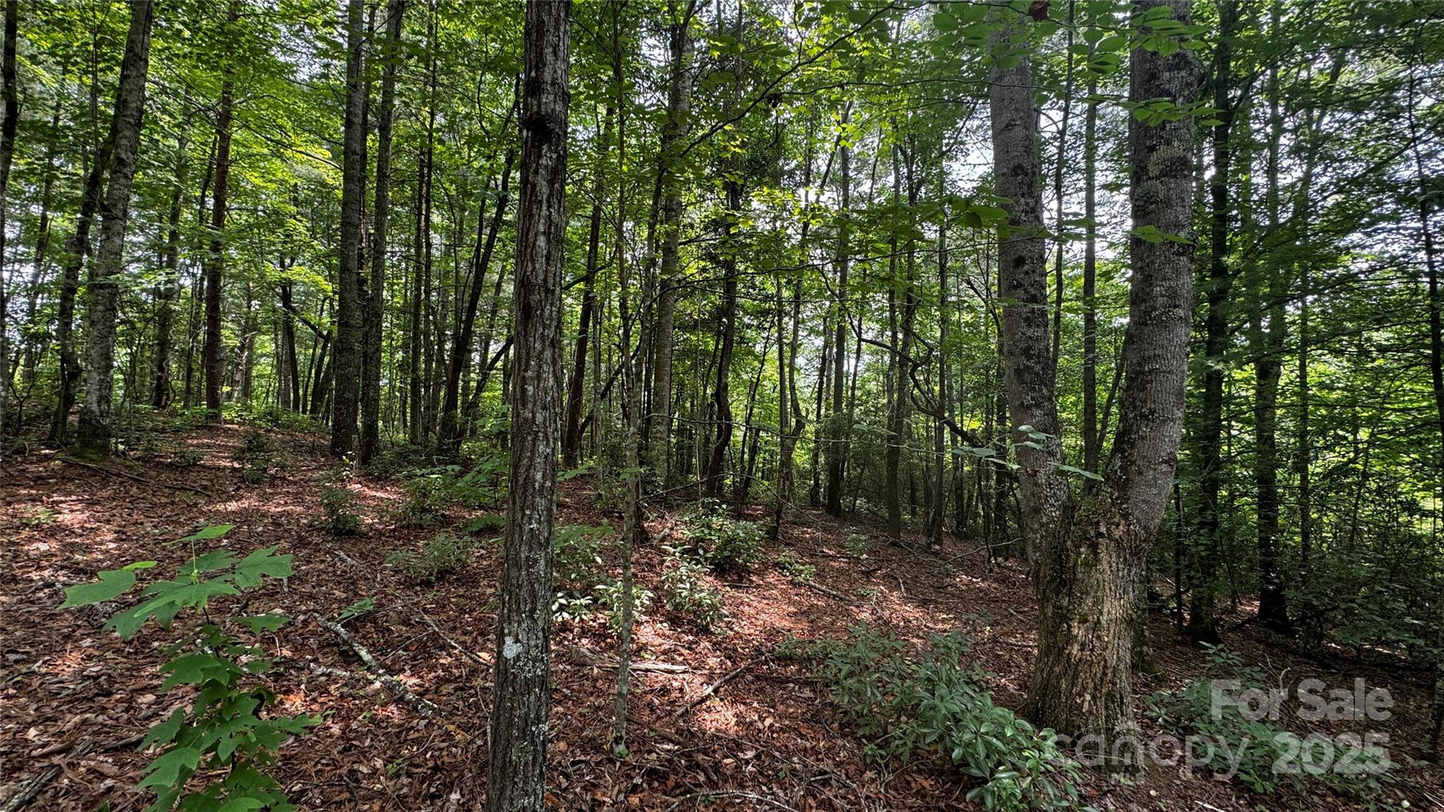 The Coves Mountain River Club - Land