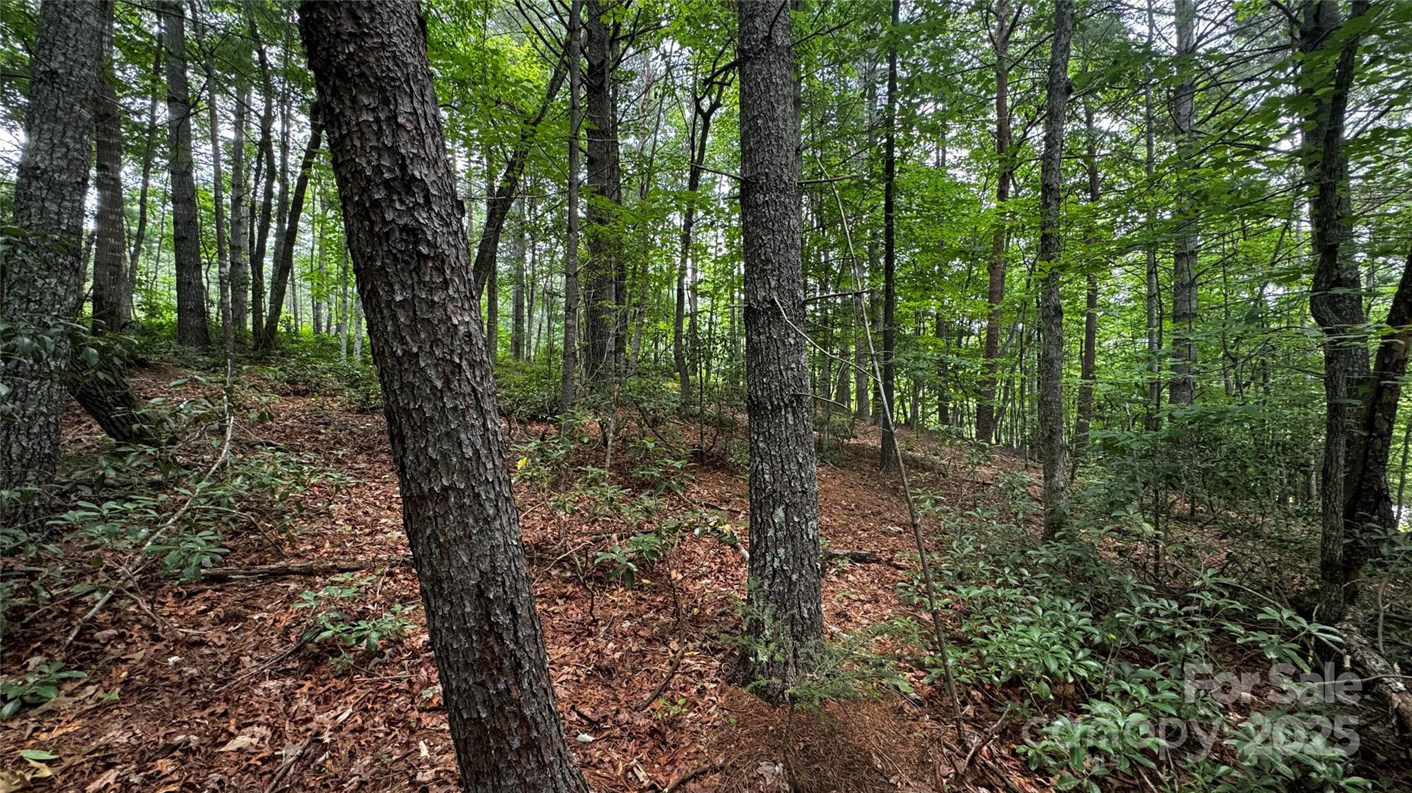 The Coves Mountain River Club - Land