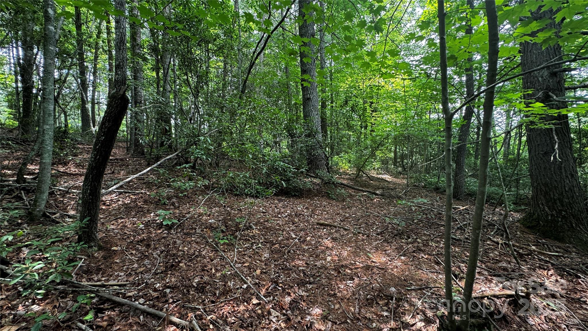 The Coves Mountain River Club - Land