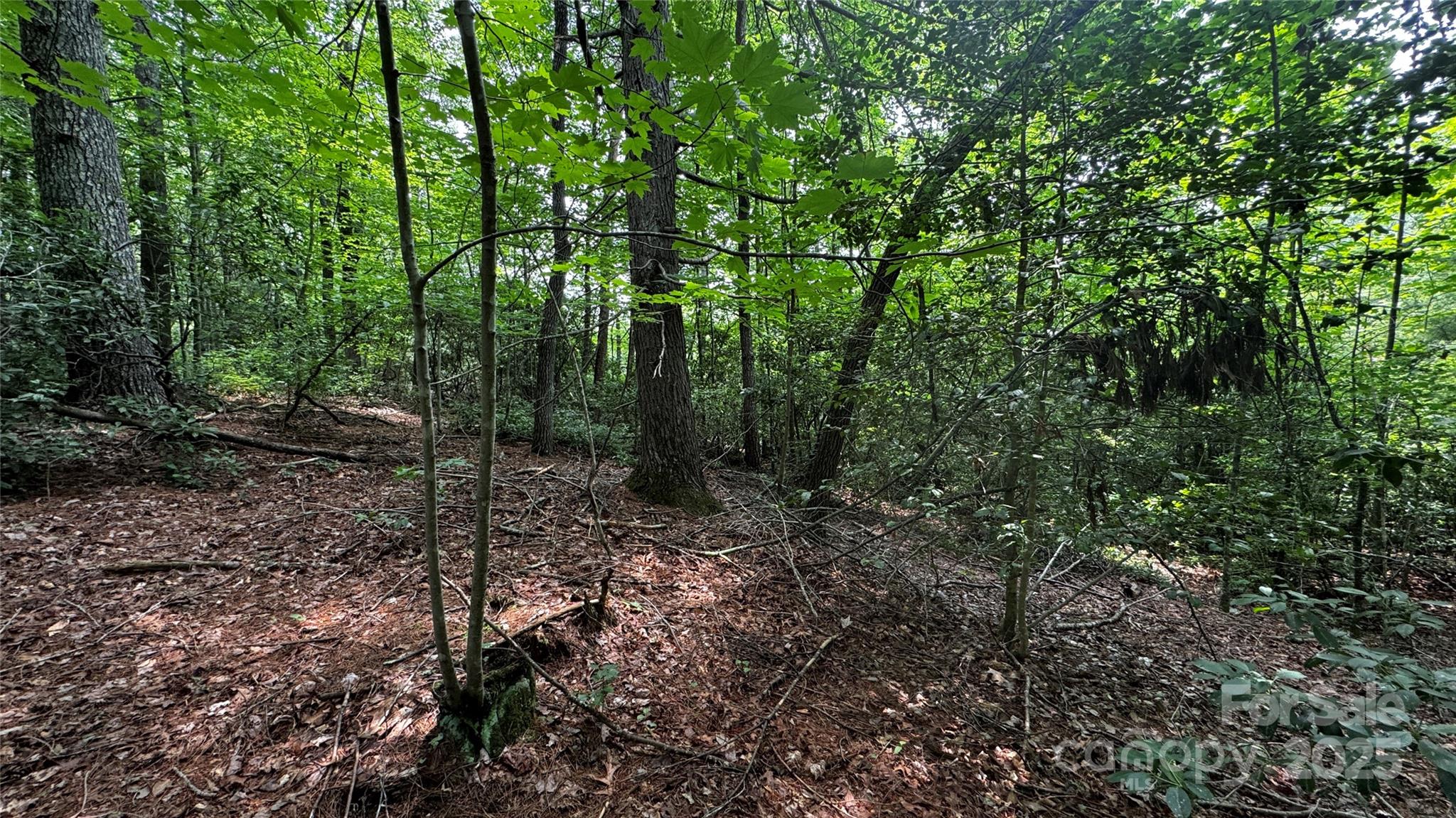 The Coves Mountain River Club - Land