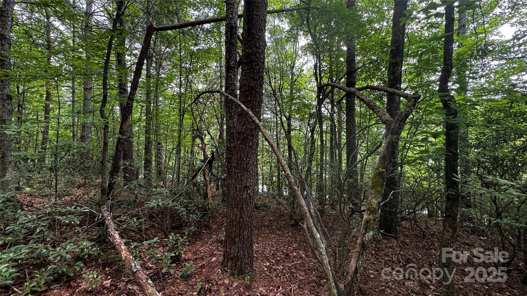 The Coves Mountain River Club - Land