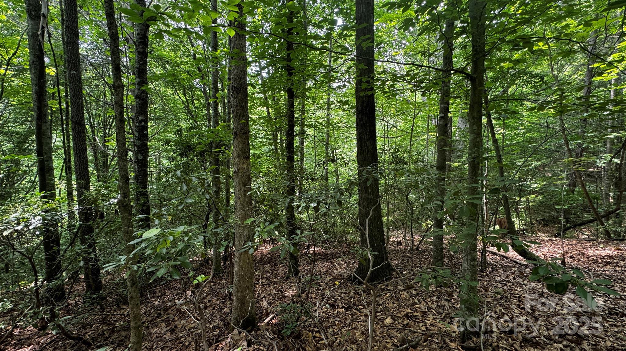 The Coves Mountain River Club - Land